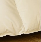 Couette 90% duvet de canard 280g/m² chaude - enveloppe coton bio zoom