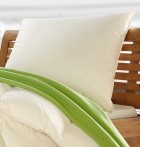 Oreiller 30% duvet de canard enveloppe coton bio Haussling