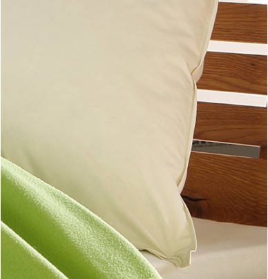 Oreiller 90% duvet d'oie enveloppe coton bio Haussling