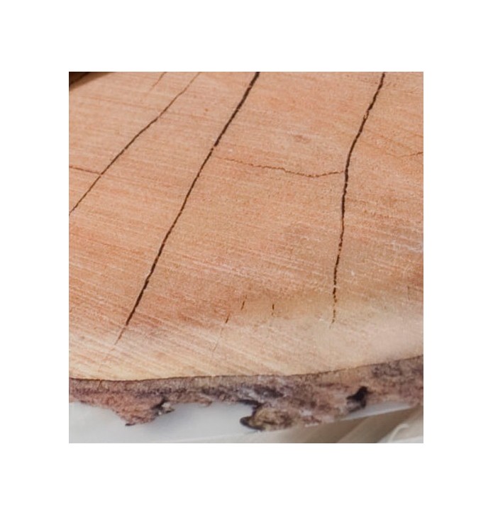 Lot de sets de table Rondin de bois zoom