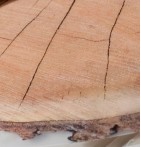 Lot de sets de table Rondin de bois zoom