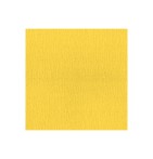 Coloris jaune du coussin Bronson