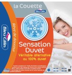 Couette Sensation Duvet 500g/m²