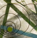 Nappe transparente Circle Calitex - Blancollection