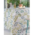 Nappe toile cirée Rainette Calitex - Blancollection