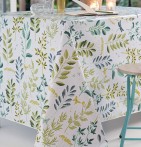 Nappe toile cirée Rainette Calitex