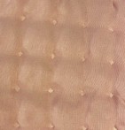 Boutis Azara nude Antilo - Blancollection