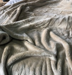 Couverture polaire velours 500g/m² Velvea beige Ourson