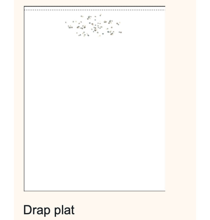 Parure de lit percale Promesse Sylvie Thiriez - Blancollection