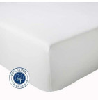 Drap housse en coton blanc Tradilinge