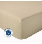 Drap housse en coton seigle Tradilinge