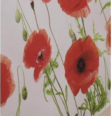 Nappe toile cirée Red Poppy Calitex
