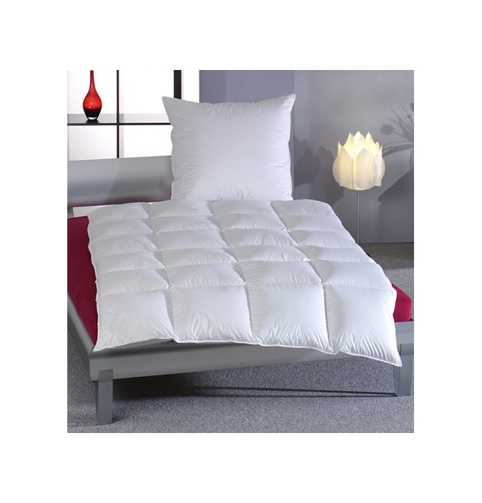 Couette 90% duvet de canard 270g/m² Haussling Couette 90% duvet de canard 270g/m² Haussling