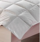 Couette légère 90% duvet de canard 100g/m² zoom