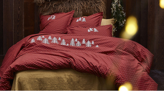 Déco Noël 2021 Déco Noël 2021